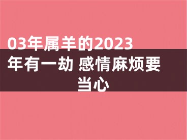 03年属羊的2023年有一劫 感情麻烦要当心