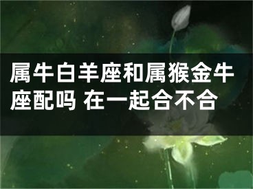 属牛白羊座和属猴金牛座配吗 在一起合不合