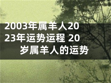 2003年属羊人2023年运势运程 20岁属羊人的运势