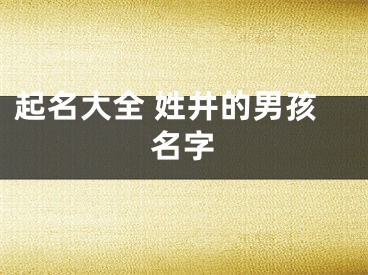 起名大全 姓井的男孩名字