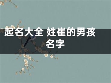 起名大全 姓崔的男孩名字