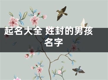 起名大全 姓封的男孩名字