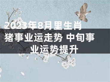 2023年8月里生肖猪事业运走势 中旬事业运势提升