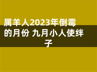 属羊人2023年倒霉的月份 九月小人使绊子