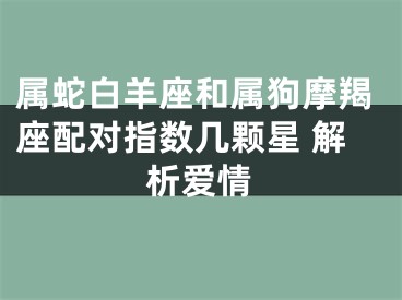 属蛇白羊座和属狗摩羯座配对指数几颗星 解析爱情