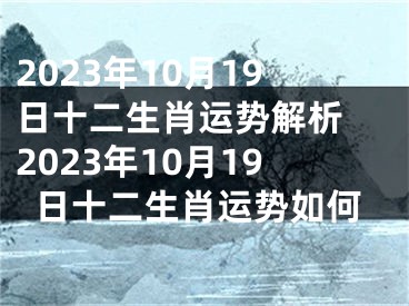 2023年10月19日十二生肖运势解析 2023年10月19日十二生肖运势如何