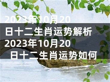 2023年10月20日十二生肖运势解析 2023年10月20日十二生肖运势如何