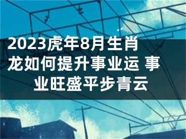 2023虎年8月生肖龙如何提升事业运 事业旺盛平步青云