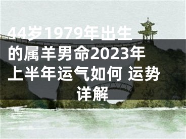 44岁1979年出生的属羊男命2023年上半年运气如何 运势详解