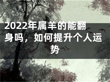 2022年属羊的能翻身吗，如何提升个人运势