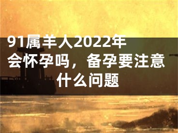 91属羊人2022年会怀孕吗，备孕要注意什么问题