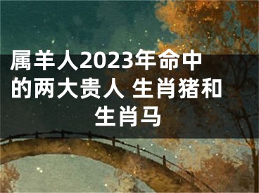 属羊人2023年命中的两大贵人 生肖猪和生肖马