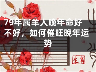 79年属羊人晚年命好不好，如何催旺晚年运势