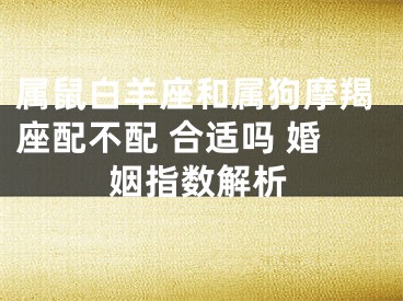 属鼠白羊座和属狗摩羯座配不配 合适吗 婚姻指数解析