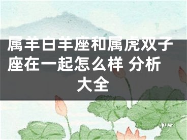 属羊白羊座和属虎双子座在一起怎么样 分析大全