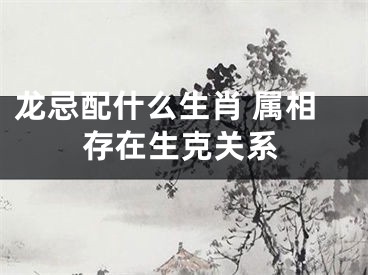 龙忌配什么生肖 属相存在生克关系