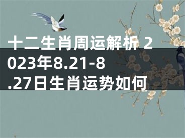 十二生肖周运解析 2023年8.21-8.27日生肖运势如何