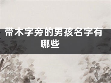 带木字旁的男孩名字有哪些 