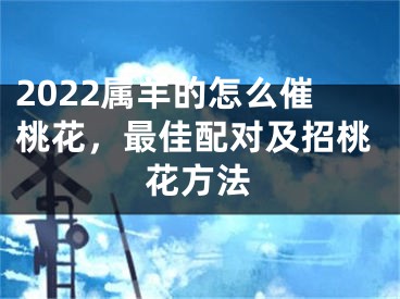 2022属羊的怎么催桃花，最佳配对及招桃花方法