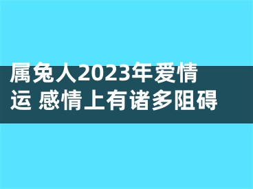 属兔人2023年爱情运 感情上有诸多阻碍