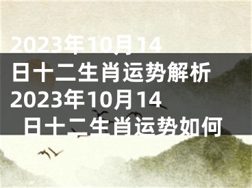 2023年10月14日十二生肖运势解析 2023年10月14日十二生肖运势如何