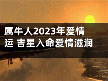 属牛人2023年爱情运 吉星入命爱情滋润