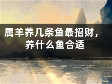 属羊养几条鱼最招财，养什么鱼合适