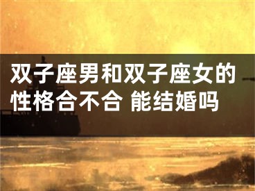 双子座男和双子座女的性格合不合 能结婚吗