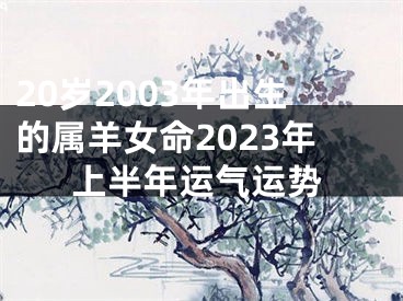 20岁2003年出生的属羊女命2023年上半年运气运势