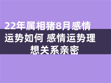 22年属相猪8月感情运势如何 感情运势理想关系亲密