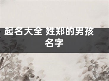 起名大全 姓郑的男孩名字