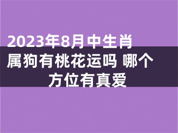 2023年8月中生肖属狗有桃花运吗 哪个方位有真爱