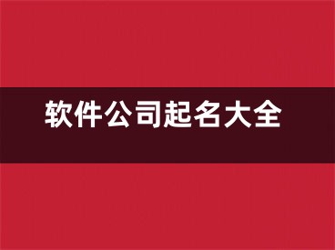 软件公司起名大全