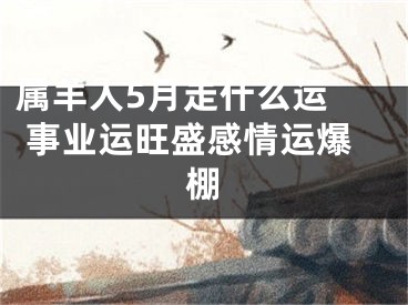 属羊人5月走什么运  事业运旺盛感情运爆棚