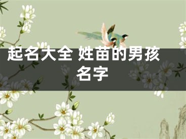 起名大全 姓苗的男孩名字