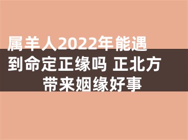 属羊人2022年能遇到命定正缘吗 正北方带来姻缘好事