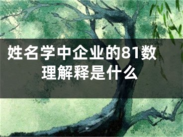 姓名学中企业的81数理解释是什么