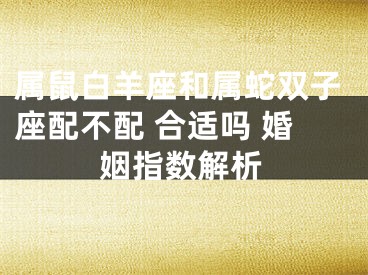 属鼠白羊座和属蛇双子座配不配 合适吗 婚姻指数解析