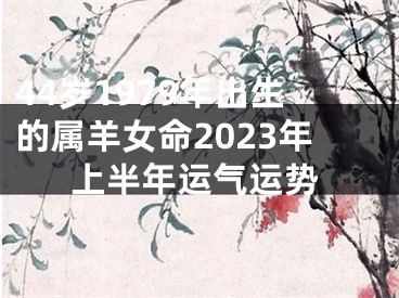 44岁1979年出生的属羊女命2023年上半年运气运势