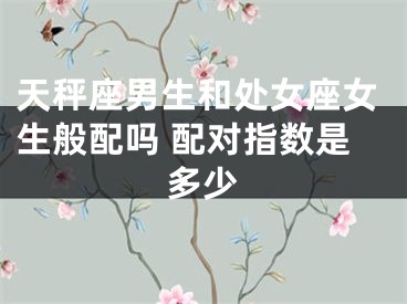 天秤座男生和处女座女生般配吗 配对指数是多少