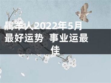 属羊人2022年5月最好运势  事业运最佳