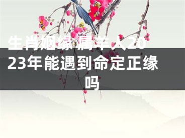 生肖姻缘 属羊人2023年能遇到命定正缘吗