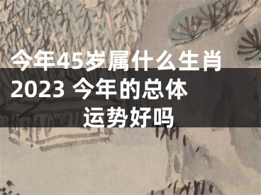 今年45岁属什么生肖2023 今年的总体运势好吗