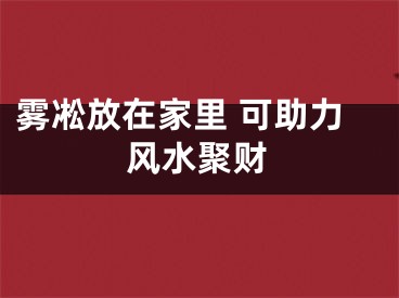 雾凇放在家里 可助力风水聚财