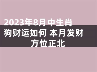 2023年8月中生肖狗财运如何 本月发财方位正北