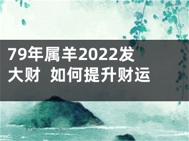 79年属羊2022发大财  如何提升财运