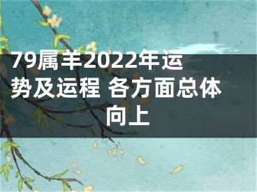 79属羊2022年运势及运程 各方面总体向上