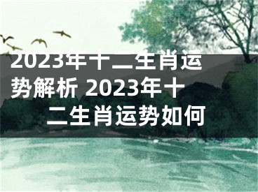 2023年十二生肖运势解析 2023年十二生肖运势如何