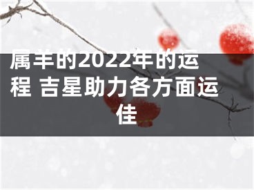 属羊的2022年的运程 吉星助力各方面运佳