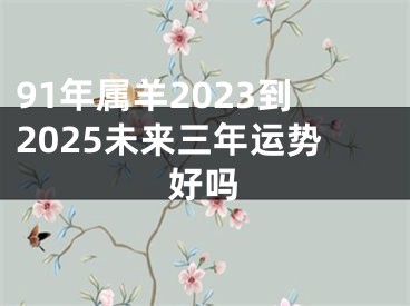 91年属羊2023到2025未来三年运势好吗